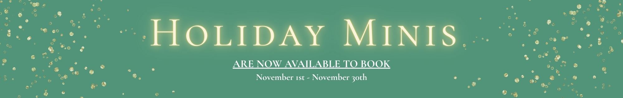 Holiday Minis Banner